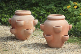 Photo of Campania Tascandi Strawberry Jar - Terra Cotta - Set of 2 - Exclusively Campania